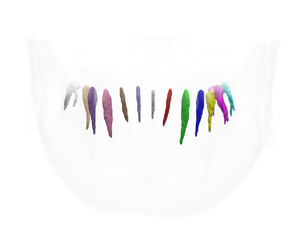 mandibular pic