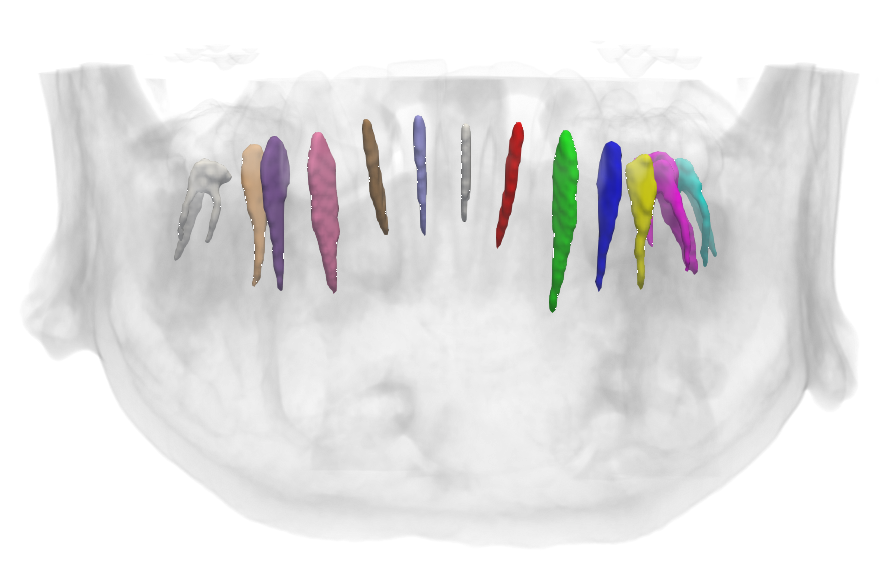 mandibular pic