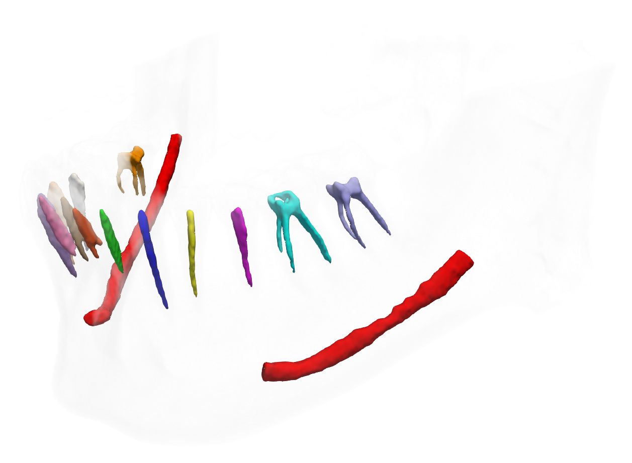 mandibular pic
