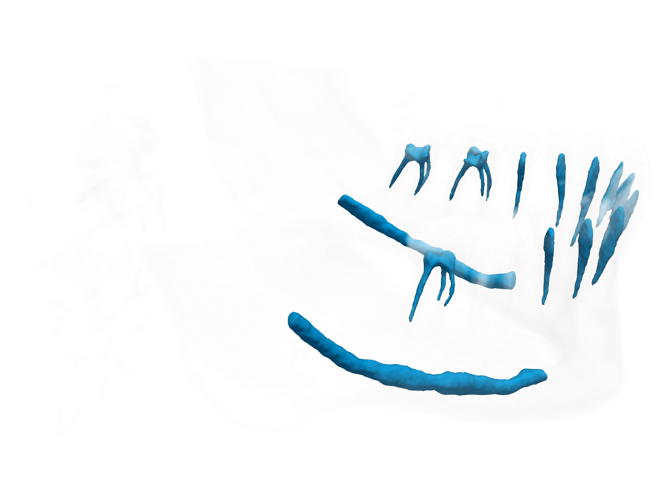 mandibular pic
